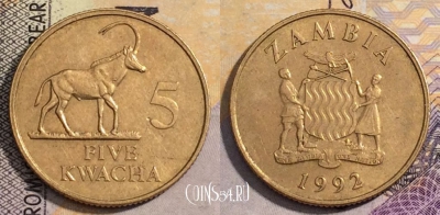 Замбия 5 квач 1992 года, КМ# 31, 162-064