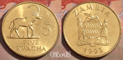 Замбия 5 квач 1992 года, КМ# 31, 165a-027