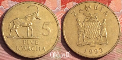 Замбия 5 квач 1992 года, КМ# 31, 230a-125