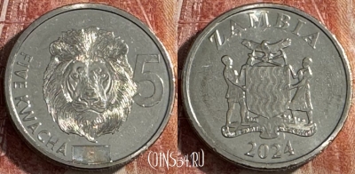 Замбия 5 квач 2024 года, Лев, UNC, 506s-120