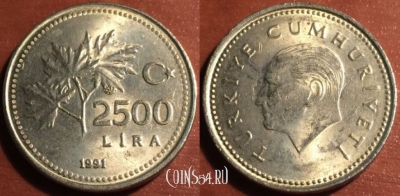 Турция 2500 лир 1991 года, KM# 1015, 048-082