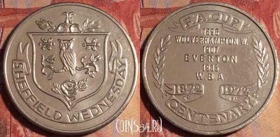 Жетон Sheffield Wednesday Token, 163a-052